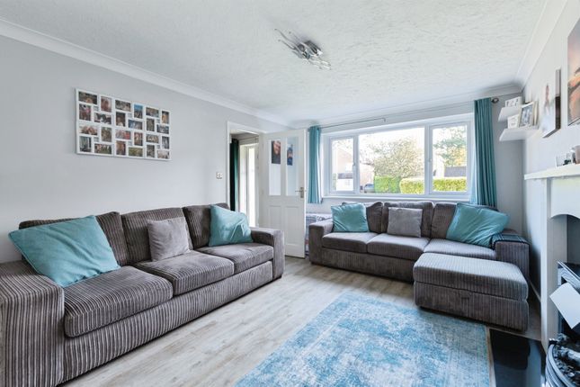 Meadow Grove, Verwood photo 2