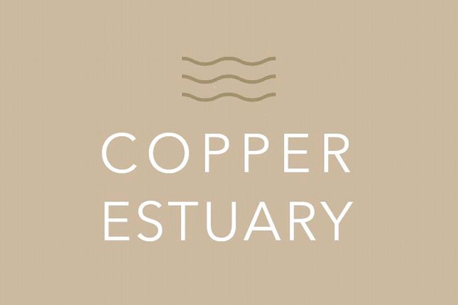 Flat for sale in Copper Estuary, Copper Terrace, Hayle, Cornwall