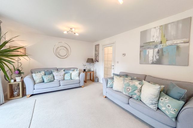 Fern Cottage, Newport photo 2