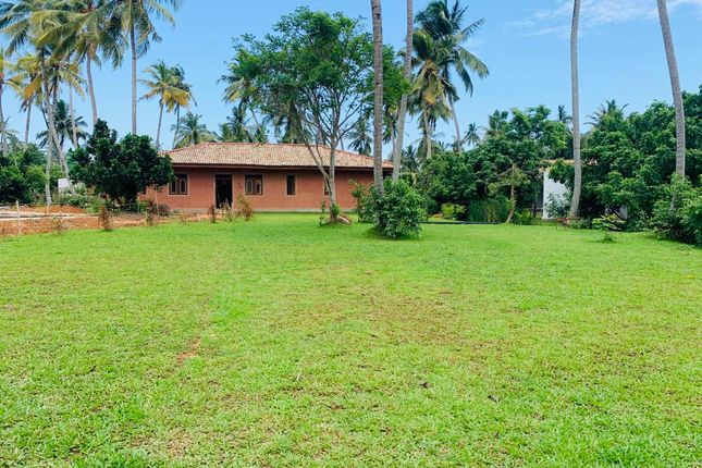 Houses For Sale In Sri Lanka Sri Lanka Houses For Sale Primelocation