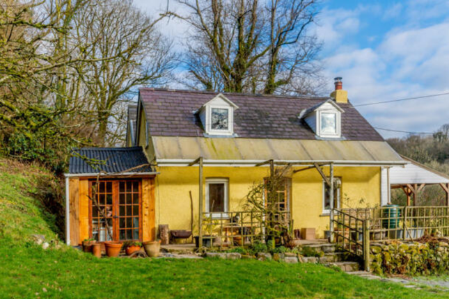 Hafod Y Dail, Penffordd, Clynderwen photo 3