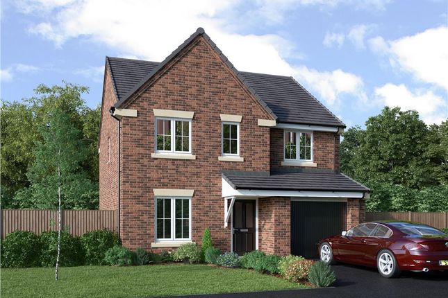 Thumbnail Detached house for sale in "The Hazelwood" at Flatts Lane, Normanby, Middlesbrough