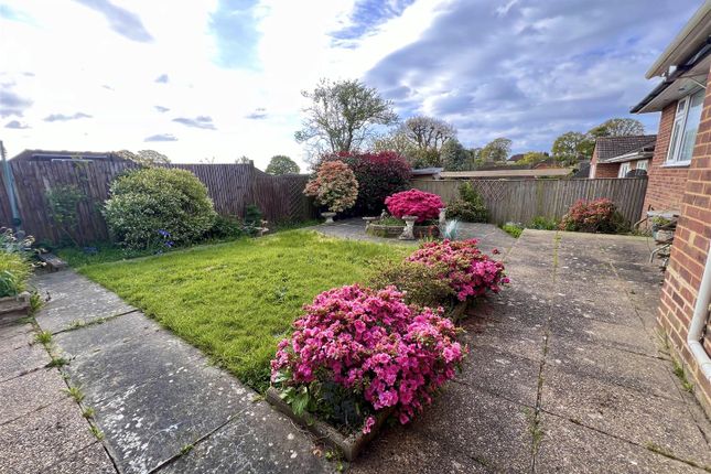 Detached bungalow for sale in Millham Close, Bexhill-On-Sea