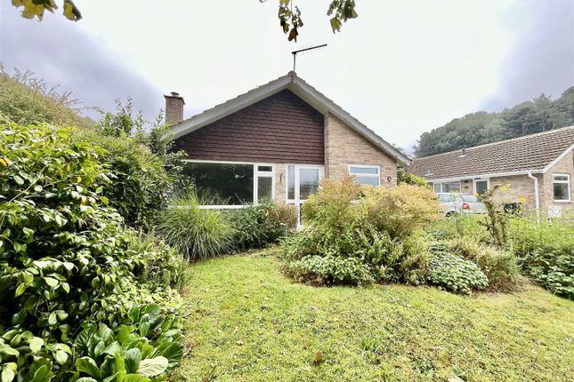 Detached bungalow to rent in Coneygar Close, Bridport, Dorset