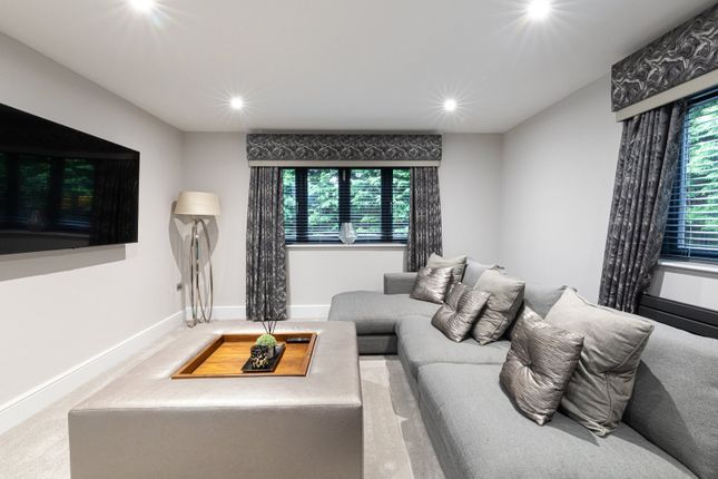 Tv Room/Snug