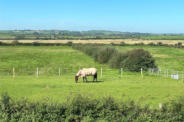 Twrcelyn,, Capel Coch, Isle of Anglesey photo 4
