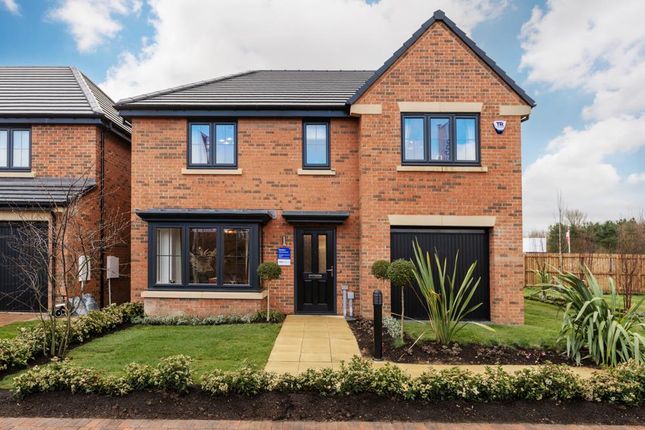 Thumbnail Detached house for sale in "The Denham" at Western Way, Ryton