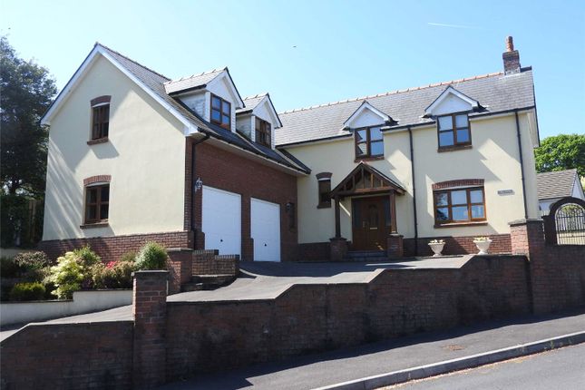 Thumbnail Detached house for sale in Trem-Y-Ddol, Newcastle Emlyn, Carmarthenshire