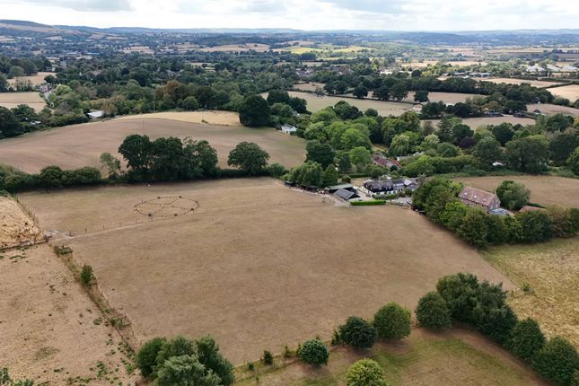5, Higher Common, Blandford Forum photo 3