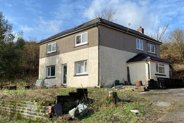 Wenallt58.Jpg