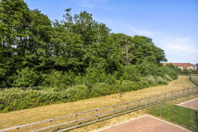 10 Redpoll Road, Hailsham photo 4