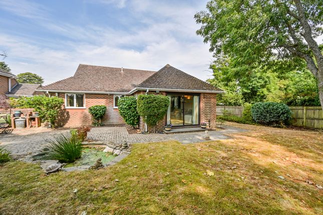 Thumbnail Bungalow for sale in The Chestnuts, Church Road, Smeeth, Ashford, Kent