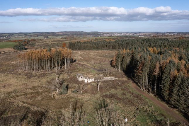 Land for sale in Dura Forest, Allanton, North Lanarkshire