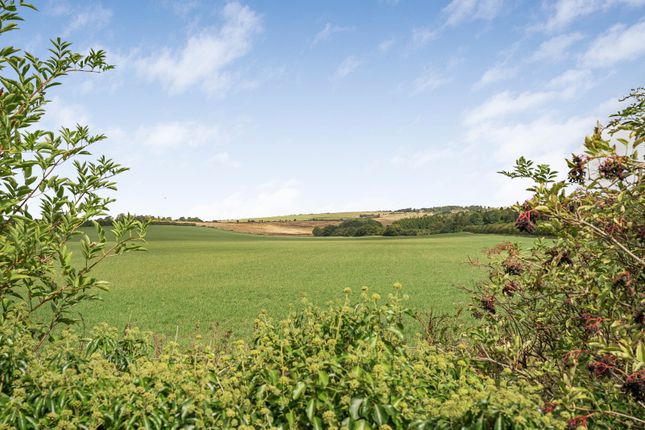 The Flint House,, Pook Lane, Chichester photo 4