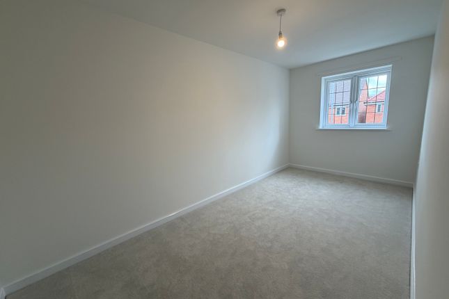 13, Bridgwater photo 4