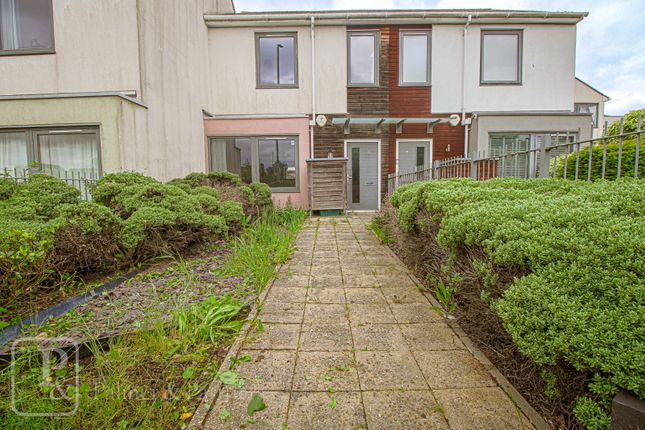 Thumbnail Terraced house to rent in Stanford Road, Colchester, Essex