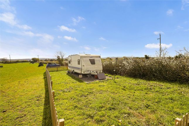 Puddy Moor Stables,, West Rolstone Road, Weston-Super-Mare photo 3