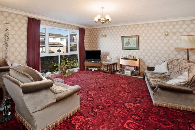 22 Lea Mount Close, Dawlish photo 3