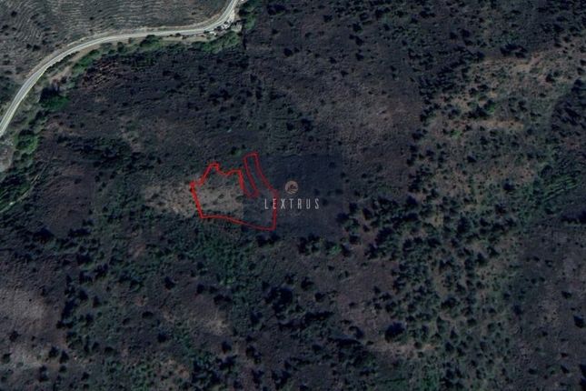 Land for sale in Platanistasa 2755, Cyprus