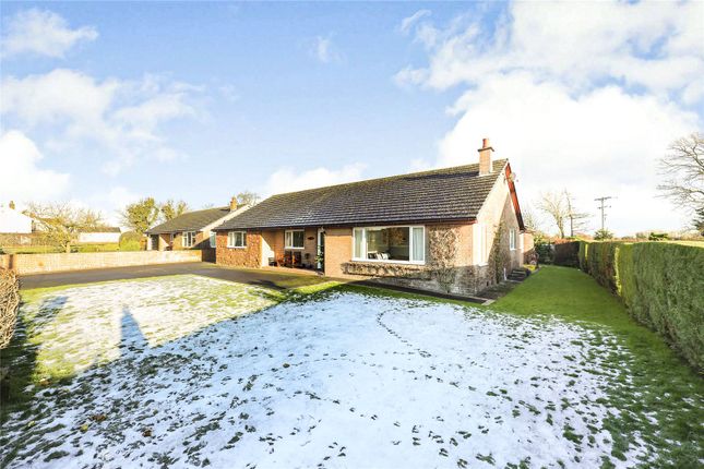Thumbnail Bungalow for sale in Aikton, Wigton, Cumbria