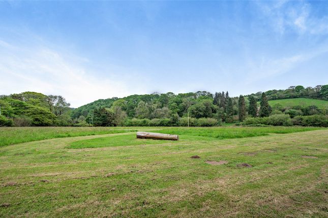 Meadow Field