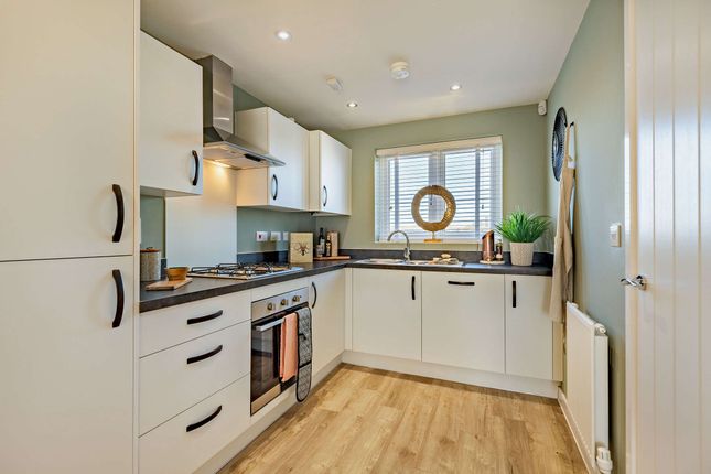 Semi-detached house for sale in "The Drayton" at Fitzhugh Rise, Wellingborough