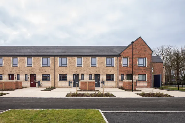 Latimer by Clarion - Cocoa Gardens