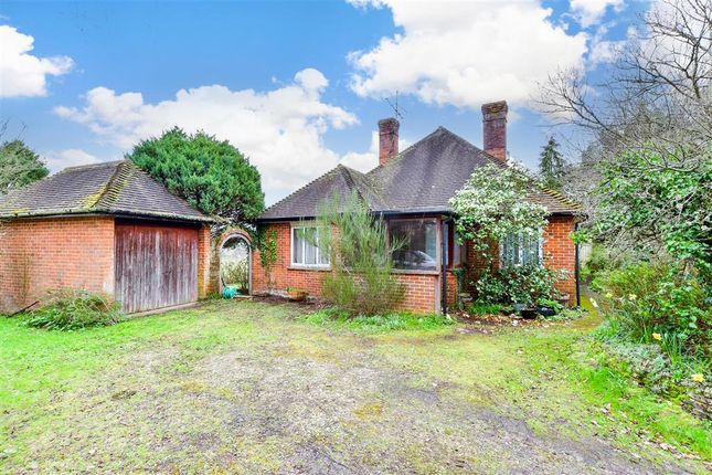 Detached bungalow for sale in Habin Hill, Rogate, Petersfield, West Sussex