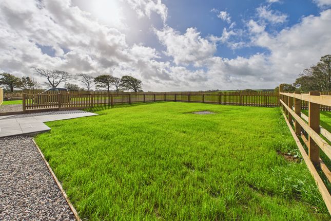 Lodgeworthy Farm, Holsworthy photo 2