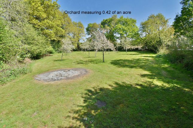 Moorlands, Haddons Drive, Wimborne photo 2