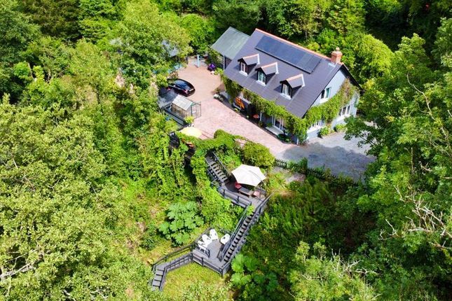 Thumbnail Detached house for sale in Loud Water, Cwmfelin Boeth, Whitland