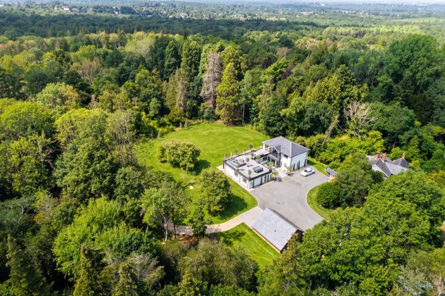 Crownlands,, D'Abernon Chase, Surrey photo 3