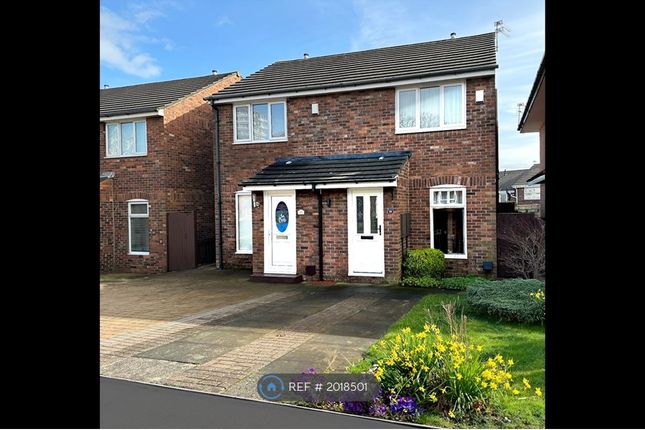 Thumbnail Semi-detached house to rent in Mulgrave Drive, Sunderland