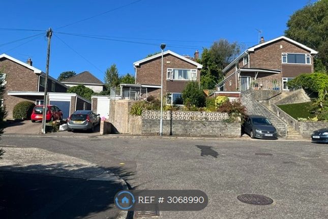 The Causeway, Sketty, Swansea photo 2