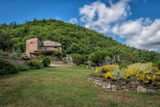 Country house for sale in Greve In Chianti, Greve In Chianti, Toscana