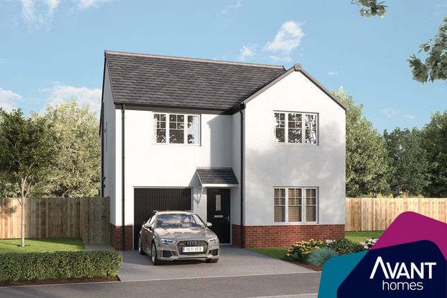 Detached house for sale in "The Lenzie" at St. Martin Crescent, Strathmartine, Dundee