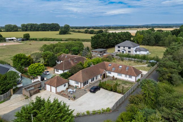 Meadow View July 2025 Final-57.Jpg