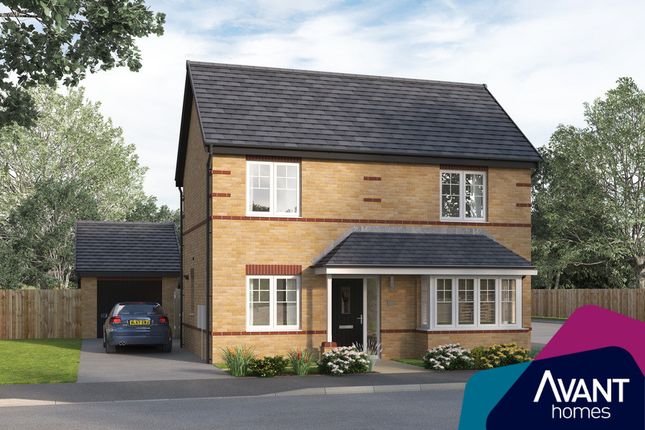 Thumbnail Detached house for sale in "The Nutwood" at Eyam Close, Desborough, Kettering