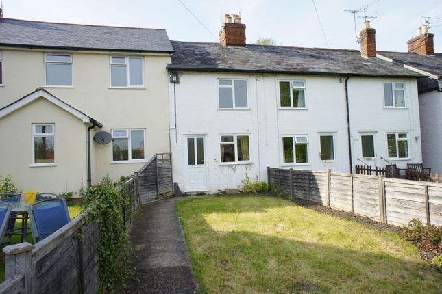 Thumbnail Terraced house to rent in London Road, Holybourne, Alton