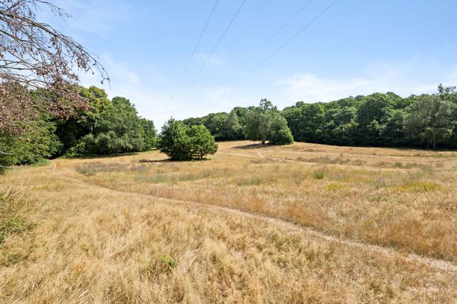 214 Croham Valley Road, South Croydon photo 4