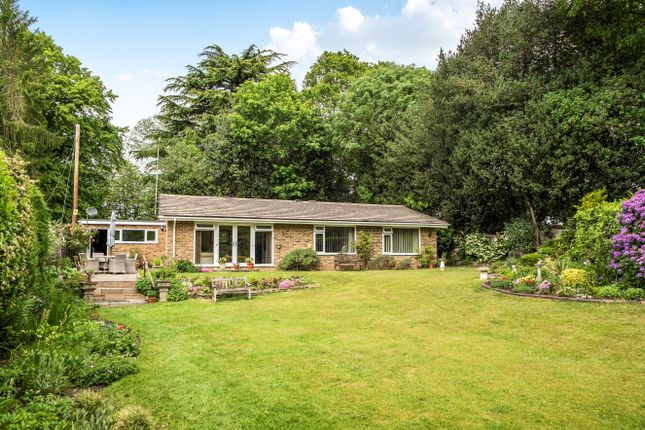 4-bed house on Squirrels,, The Village, Berkshire, £975,000
