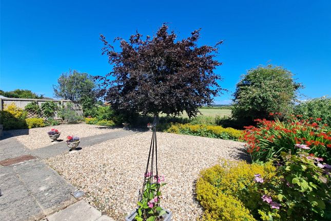 18, Ash Tree Road, Burnham-on-Sea photo 2