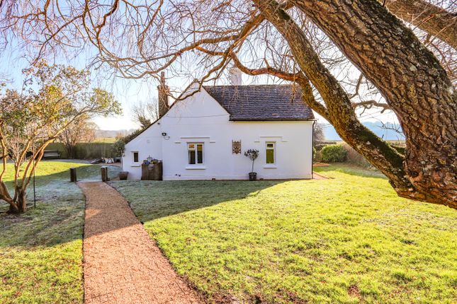 Semi-detached bungalow for sale in Compass Lane, Ninfield