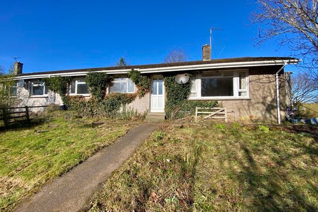 Thumbnail Bungalow for sale in St. Quivox, Ayr