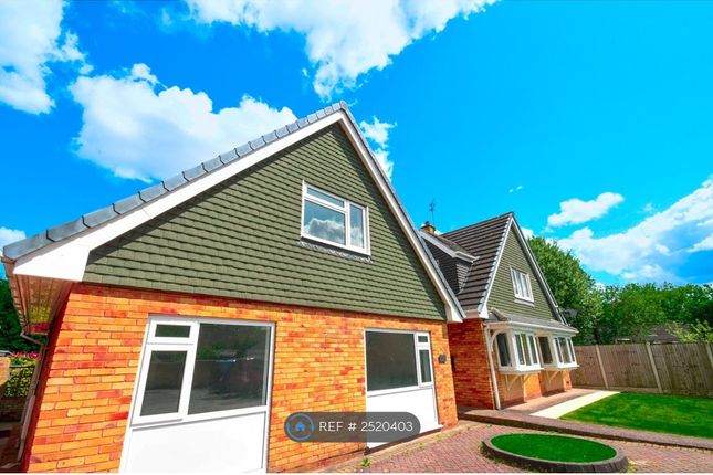 Thumbnail Detached house to rent in Shardlow Gardens, Doncaster