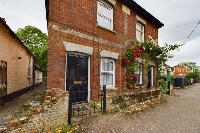 Thumbnail Semi-detached house for sale in The Street, Pulham St. Mary, Diss
