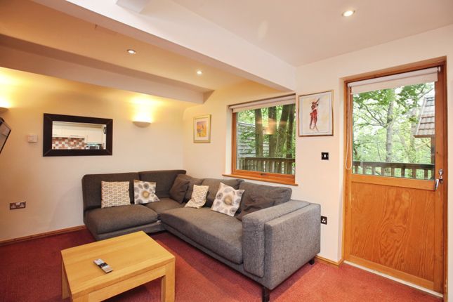 Lodge 5 Finlake Holiday Park, Finlake Holiday Park, Newton Abbot photo 4