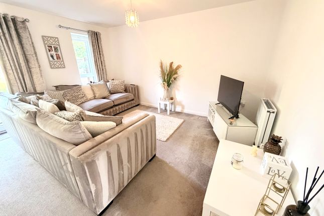 27, Warrington photo 2