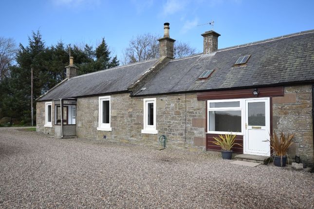 Bungalow to rent in Monikie, Angus DD5