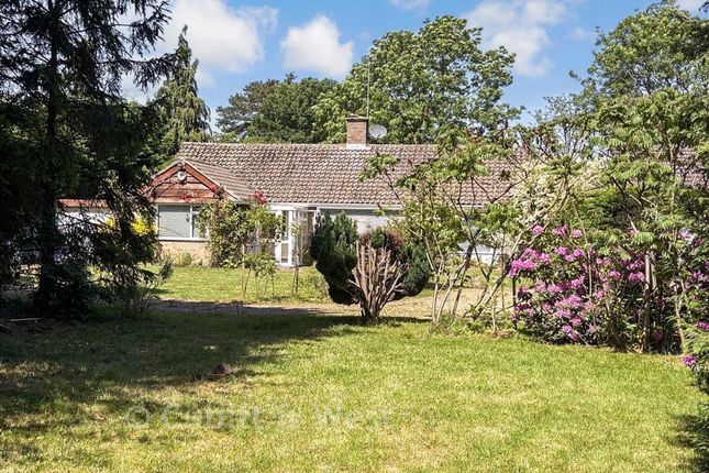 Terranora, Horley Row, Horley photo 3